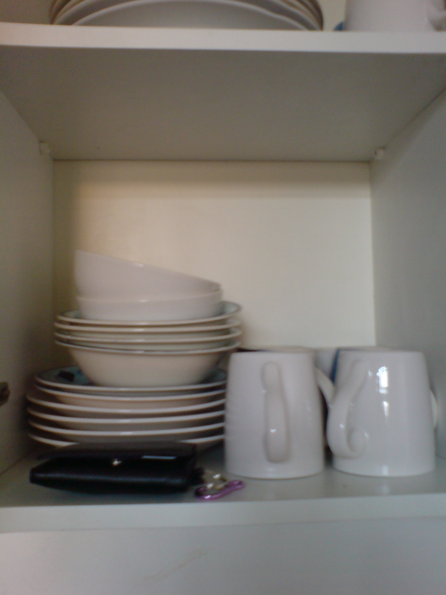 dsc004261 Good Morning !